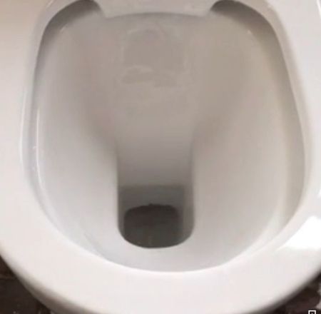 Унитаз VETTORE F приставной безободковый Cerutti SPA  CT7841, артикул CT7841