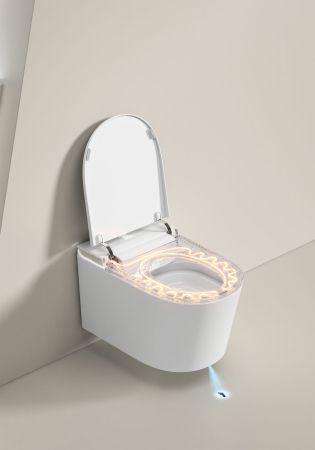 Унитаз подвесной Allen Brau Smart 4.I1001.20 белый, с функцией биде