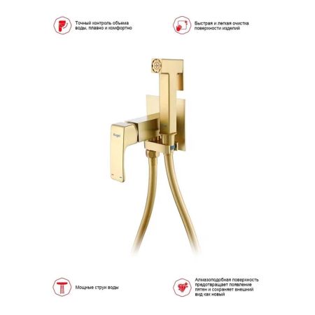 Гигиенический душ со смесителем встраиваемый Raglo R02.54.03, сатин золотой