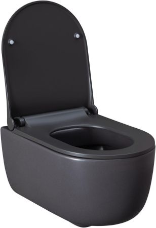 Чаша подвесного унитаза Allen Brau Priority 4.31002.AN антрацит, артикул 4.31002.AN