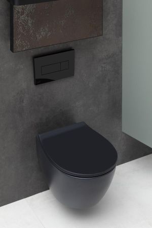 Чаша подвесного унитаза Allen Brau Fantasy 4.11004.31 черный матовый, артикул 4.11004.31