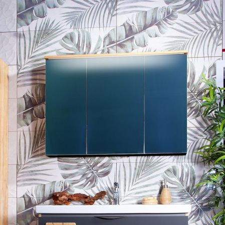 Зеркальный шкаф Бриклаер Форест 100 с подсветкой Антрацит со вставкой Пенёк