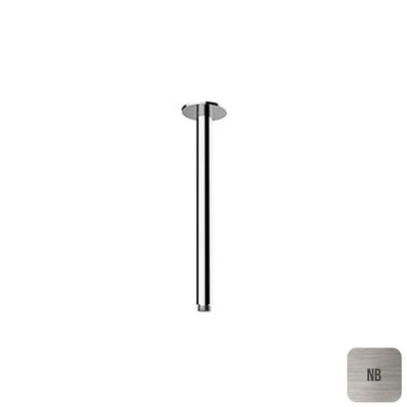 ALMAR Держатель верхнего душа потолочный L30 см с круглым отражателем, цвет Brushed Nickel