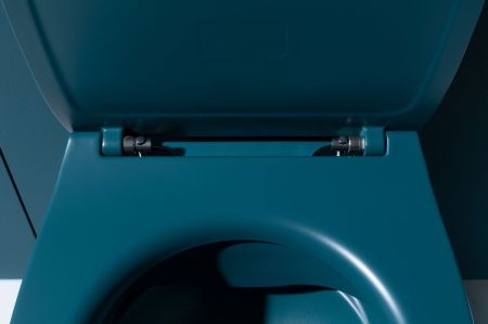 Крышка-сиденье для унитаза Allen Brau Fantasy Soft-Close 4.11005.PT петроль, артикул 4.11005.PT