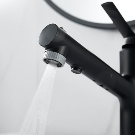 Смеситель для раковины многофункциональный Raffine F281H, черный, артикул F281H