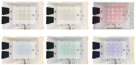 Гидромассажная ванна Royal Bath  TRIUMPH DE LUXE  180х120х65, артикул RB665100DL