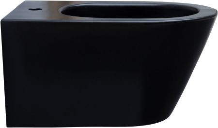 Биде подвесное Aquanet Lake LAKE-B2B черный матовый
