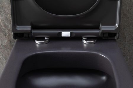 Чаша подвесного унитаза Allen Brau Priority 4.31002.AN антрацит, артикул 4.31002.AN