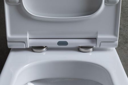 Чаша напольного унитаза Allen Brau Priority 4.31003.20 белый, артикул 4.31003.20