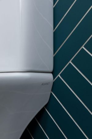 Чаша напольного унитаза Aquanet Rimless Roll 2-C CL-12289, артикул Roll 2-C