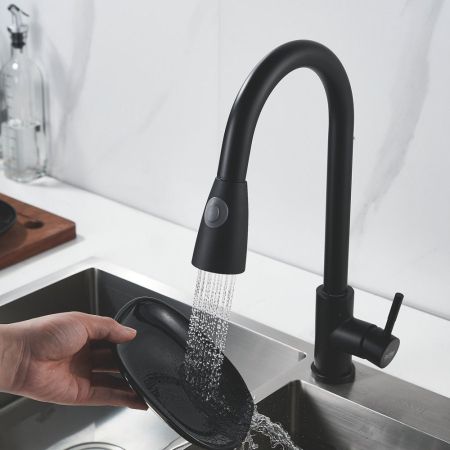 Смеситель для кухни с выдвижным изливом Raffine F213H, черный