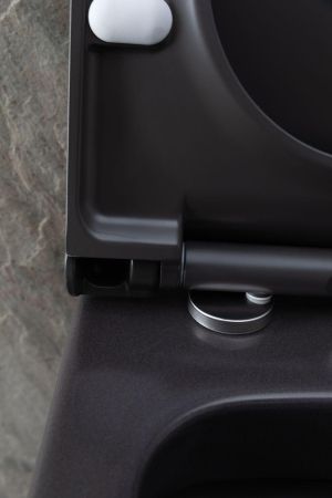 Чаша подвесного унитаза Allen Brau Priority 4.31001.AN антрацит, артикул 4.31001.AN