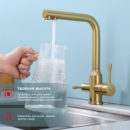 Смеситель для кухни с подключением фильтра Raglo R81.61.03, золотой сатин