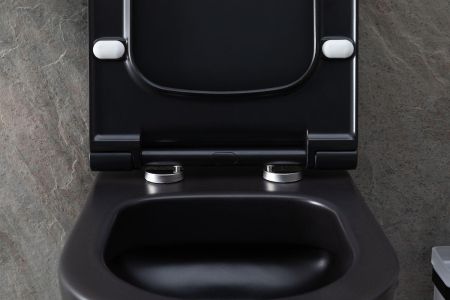 Чаша подвесного унитаза Allen Brau Priority 4.31001.31 черный матовый, артикул 4.31001.31