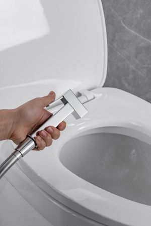 Смеситель с гигиеническим душем Allen Brau Infinity 5.21005-00 (с внутренней частью) хром, артикул 5.21005-00