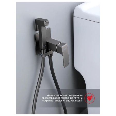 Гигиенический душ со смесителем встраиваемый Raglo R02.54.09, графит