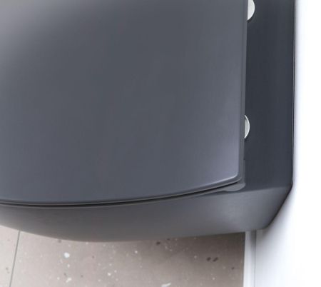 Чаша подвесного унитаза Allen Brau Fantasy 4.11004.AN антрацит, артикул 4.11004.AN