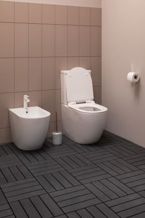 Чаша напольного унитаза Aquanet Rimless Cetus-C1 BL-102N-TPT