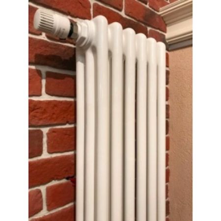 Стальной радиатор Arbonia 3180/06 N69 твв 6 секций с нижним подключением, артикул 3180/06 N69 твв