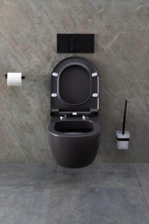 Чаша подвесного унитаза Allen Brau Priority 4.31001.AN антрацит, артикул 4.31001.AN