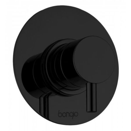 Bongio T Mix Встраиваемый смеситель для душа, цвет черный матовый, артикул 32524NEPR