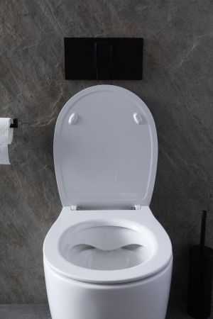 Чаша приставного унитаза Allen Brau Fantasy 4.11007.20 белый глянец, артикул 4.11007.20