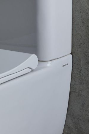 Чаша напольного унитаза Allen Brau Priority 4.31003.20 белый, артикул 4.31003.20