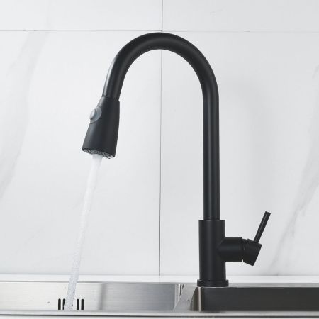 Смеситель для кухни с выдвижным изливом Raffine F213H, черный