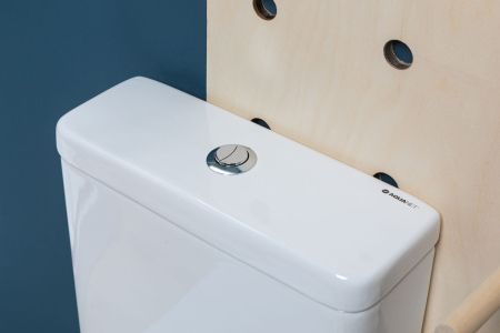 Чаша напольного унитаза Aquanet Rimless Cetus-C1 BL-102N-TPT