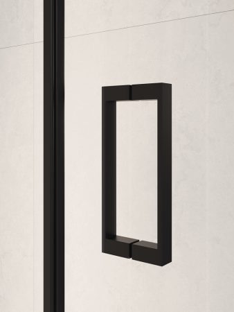 Душевая дверь RGW PA-104B 900