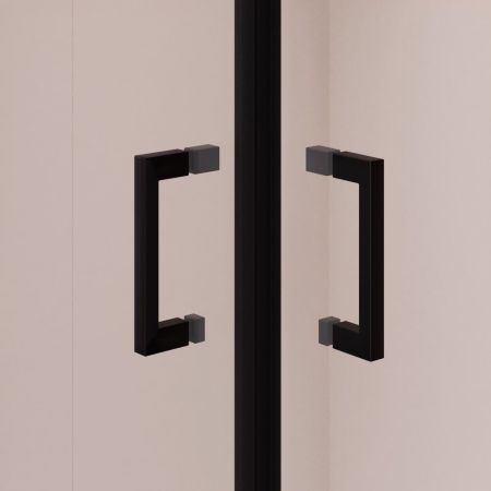 Душевой уголок RGW PA-040B (Прозрачное, 900x1000)