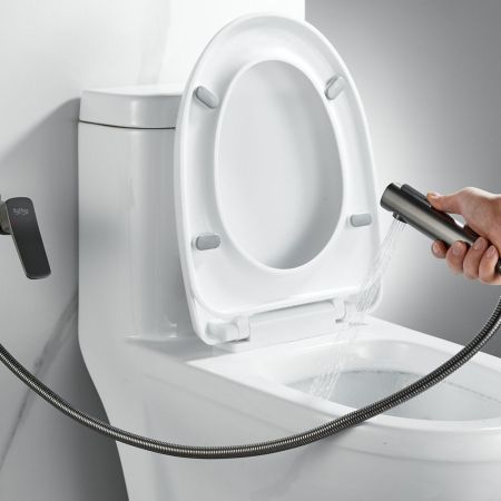 Гигиенический душ со смесителем Raffine F0599T-1, оружейная сталь