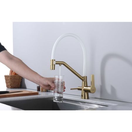 Смеситель для кухни с подключением фильтра Raglo R80.62.03, золотой сатин