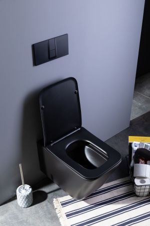 Унитаз подвесной Aquanet Rimless Tavr-W BL-103N-WHT black черный матовый