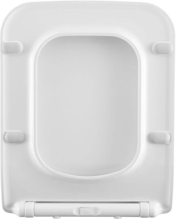 Сиденье для унитаза Allen Brau Liberty 4.33008.21 белый матовый, артикул 4.33008.21