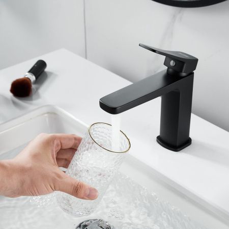 Смеситель для раковины Raffine F0199H, черный, артикул F0199H