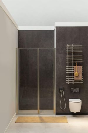 Душевая дверь Allen Brau Priority 120 3.31008.BA серебро браш, артикул 3.31008.BA