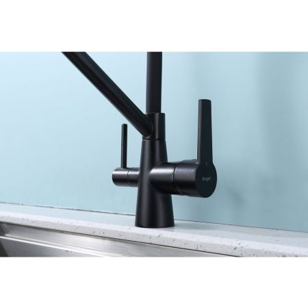 Смеситель для кухни с подключением фильтра Raglo R80.62.06, черный, артикул R80.62.06