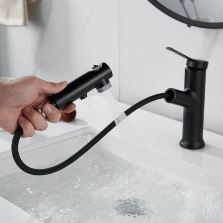 Смеситель для раковины многофункциональный Raffine F281H, черный, артикул F281H