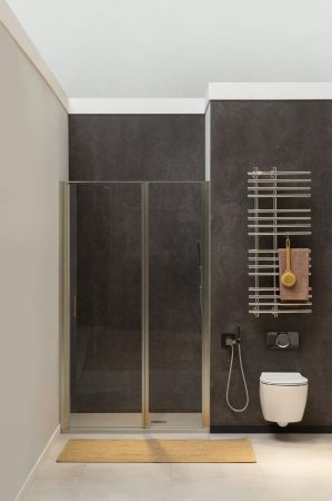 Душевая дверь Allen Brau Priority 90 3.31026.BA серебро браш, артикул 3.31026.BA