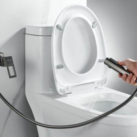 Гигиенический душ со смесителем Raffine F0596T-1, оружейная сталь