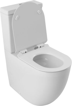 Чаша напольного унитаза Aquanet ZV-2-C1