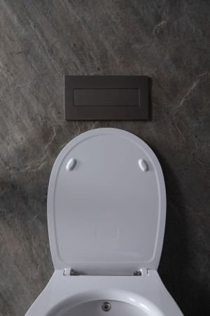 Чаша подвесного унитаза Allen Brau Fantasy 4.11HC1.20 белый глянец, артикул 4.11HC1.20