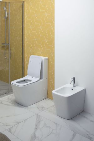 Чаша напольного унитаза Aquanet Rimless Tavr-C1 BL-103N-TPT, артикул TAVR-C1