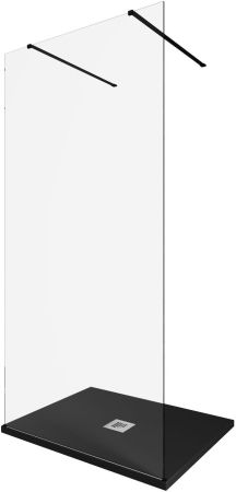 Душевая перегородка Allen Brau Infinity 2 100 3.21039.BBA черный браш, артикул 3.21039.BBA