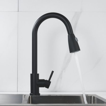 Смеситель для кухни с выдвижным изливом Raffine F213H, черный