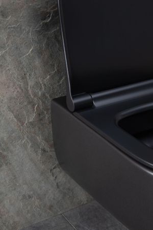 Чаша подвесного унитаза Allen Brau Priority 4.31001.31 черный матовый, артикул 4.31001.31