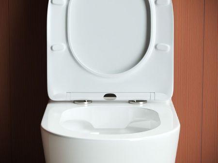 Напольная пристенная чаша унитаза HIGHLIGHT Rimless, артикул CN1802-B