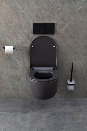 Чаша подвесного унитаза Allen Brau Priority 4.31002.AN антрацит, артикул 4.31002.AN