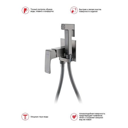 Гигиенический душ со смесителем встраиваемый Raglo R02.54.09, графит